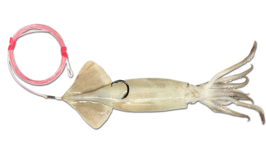 Rigged Squid