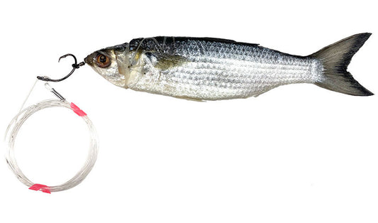 Circle Hook Marlin Silver Mullet