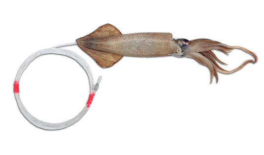 Dolphin Munchie Rigged 6" - 7" J-Hook Squid
