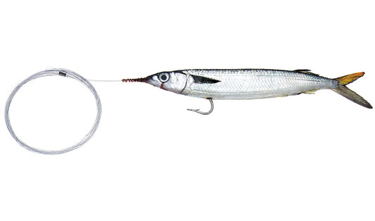 Small Rigged Single Hook Ballyhoo with Fluorocarbon Leader