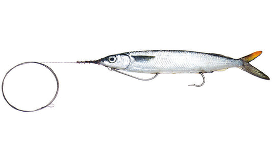 Medium Rigged Double-Hook Ballyhoo with Wire Leader