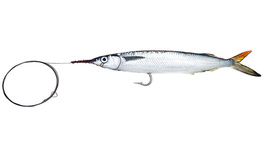 Medium Single Hook Ballyhoo with Wire Leader
