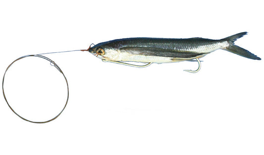 Medium Rigged Flying Fish with Wire Leader