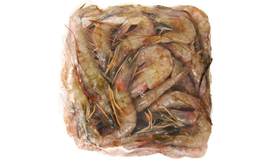 Shrimp