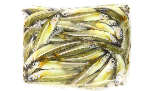 Silversides