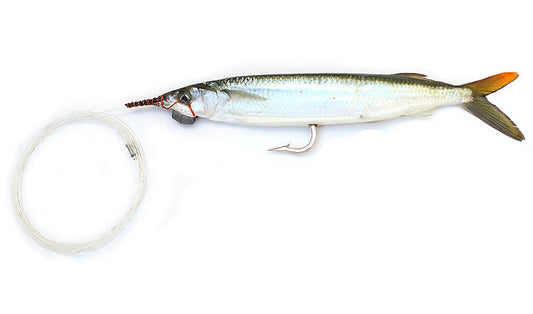 Large Medium Rigged Single Hook Ballyhoo with Monofilament Leader