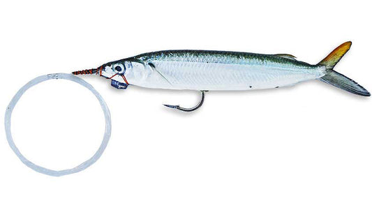 Super Select Rigged Single Hook Ballyhoo with Lead and Monofilament Leader