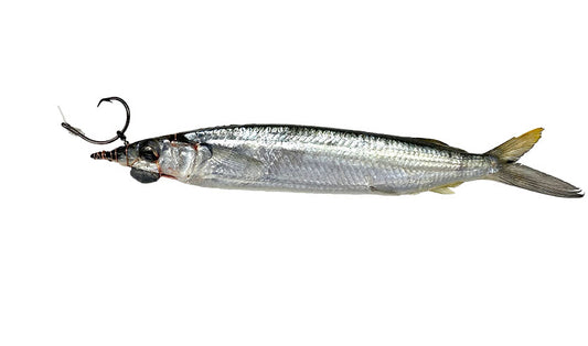 Medium Circle Hook Ballyhoo
