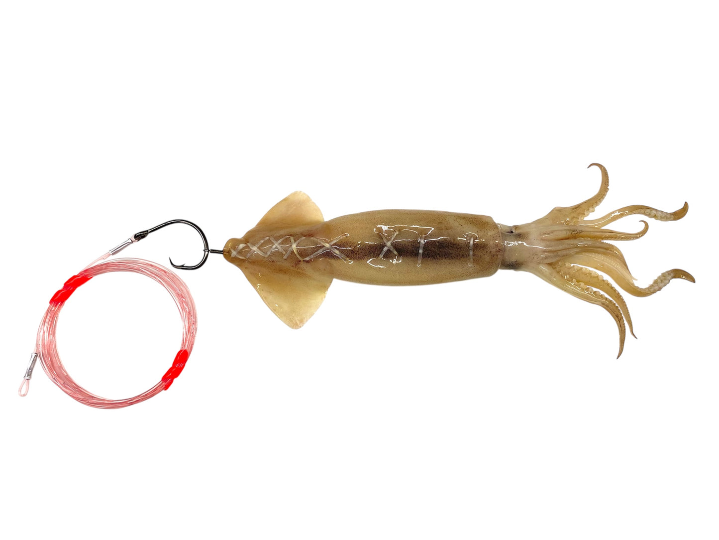 Medium 10"-12" Rigged Circle Hook Squid